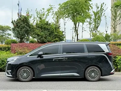 Denza Denza D9