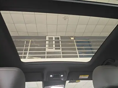BYD L DM-i