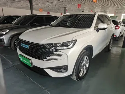 Haval H6 New Energy