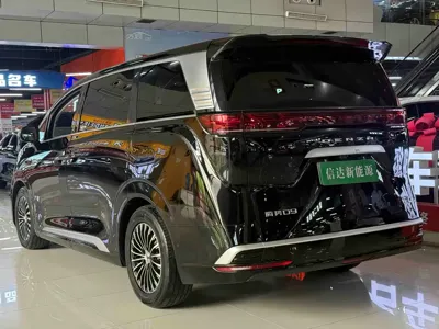 Denza Denza D9