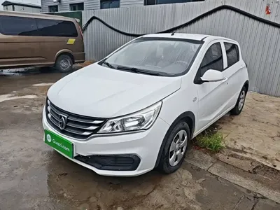 Baojun 310