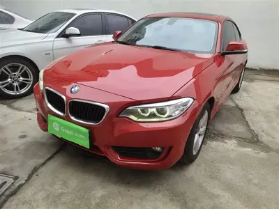 BMW 2 Series (Import)