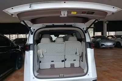 Denza D9