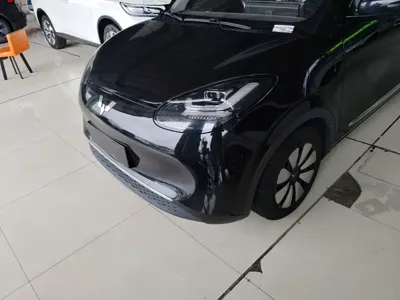 Wuling Bingo