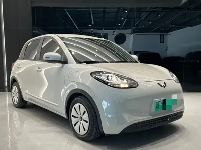 Wuling Bingo