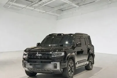 Formula Leopard Leopard 8