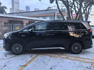 Denza Denza D9