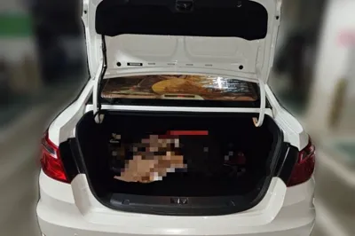 Changan Eado