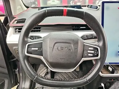 NETA Neta V