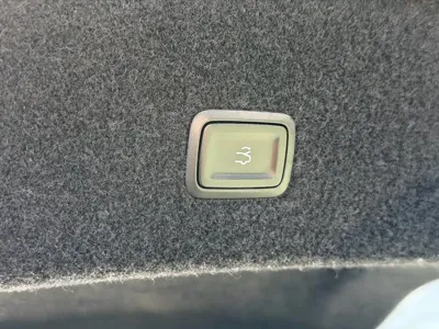 NETA Neta S