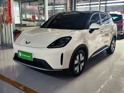 Wuling 缤果S