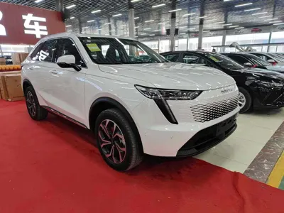 Haval Xiaolong Max