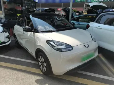 Wuling Bingo