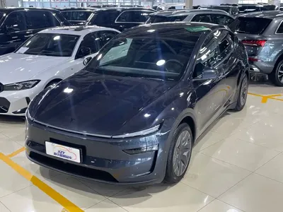 Tesla Model Y L