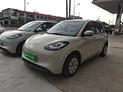 Wuling Bingo