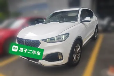 WEY VV6