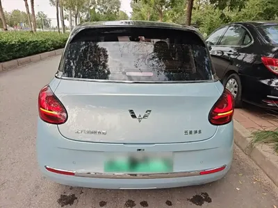 Wuling Bingo