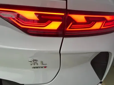 BYD L EV