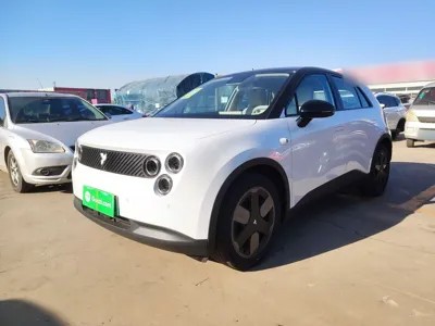 Nio Firefly