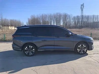 Wuling Victory