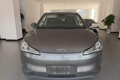 NETA V