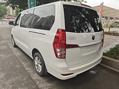 Fengxing Lingzhi PLUS