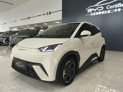BYD Seagull