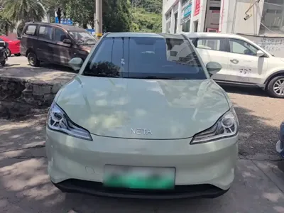 NETA Neta V