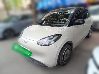 Wuling Bingo
