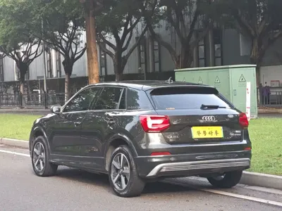 Audi Q2L e-tron