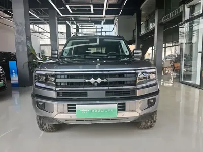 Fang Cheng Bao Leopard 5