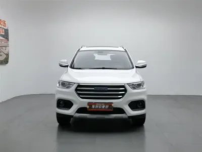 Haval H2
