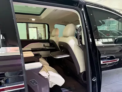 Hongqi Hongqi HQ9