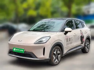 Wuling 缤果S