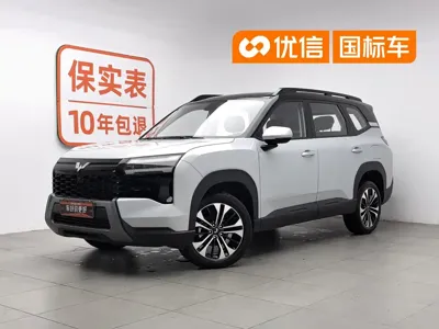 Wuling 星光560新能源