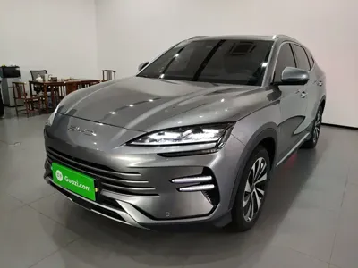 BYD PLUS New Energy