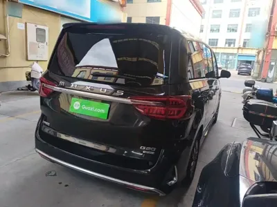 Maxus G20