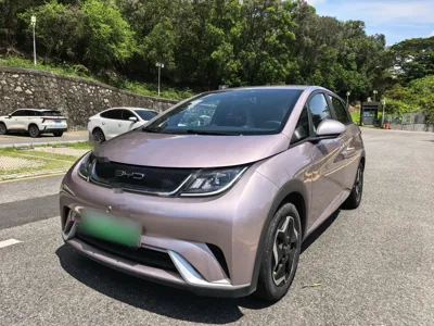 BYD Dolphin