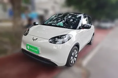 Wuling Bingo