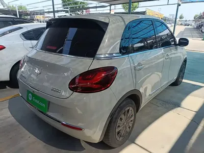 Wuling Bingo