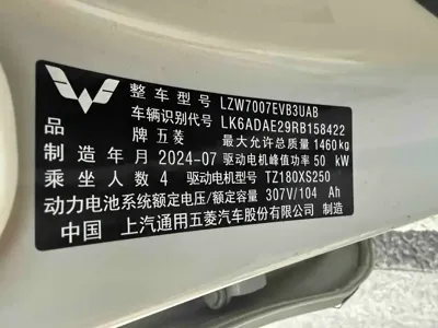 Wuling Bingo