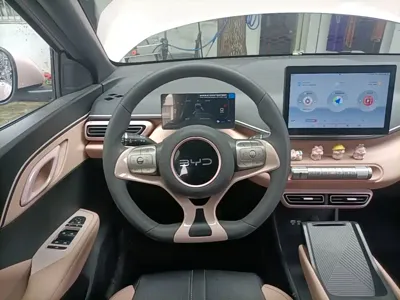 BYD Seagull