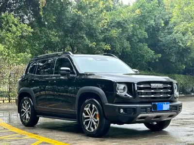 Haval Big Dog