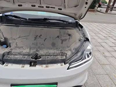NETA Neta V