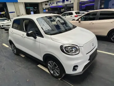 Leapmotor Leapmotor T03