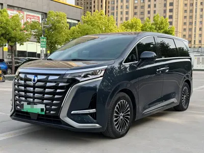 Denza Denza D9