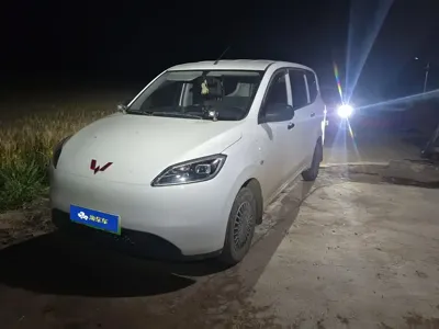 Wuling Hongguang EV