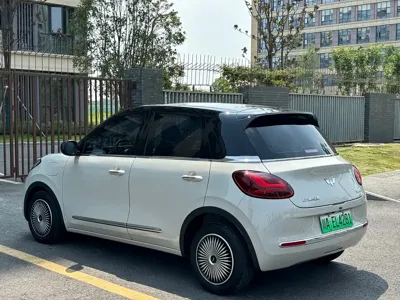 Wuling Bingo
