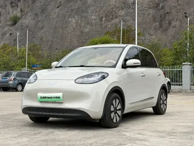 Wuling Bingo