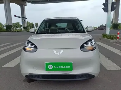 Wuling Bingo